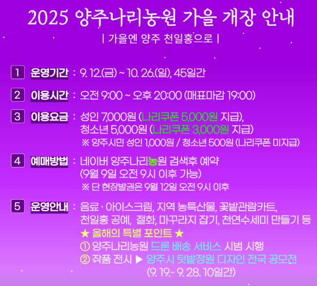  2025 양주 나리농원 가을 개장! (9/12~, 핑크뮬리, 주차 꿀팁)