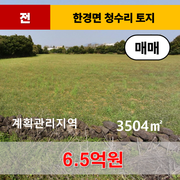  《제주도토지》 한경면 청수리 계획관리 토지 매매