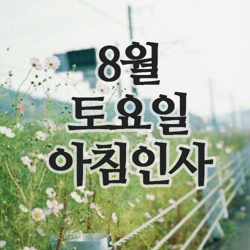  8월 인사말 이미지, 23일(처서) 토요일 주말 아침인사