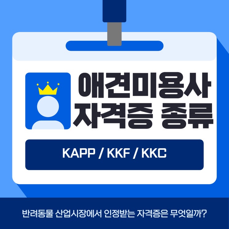  애견미용자격증종류, 어떤 자격을 선택해야 할까?