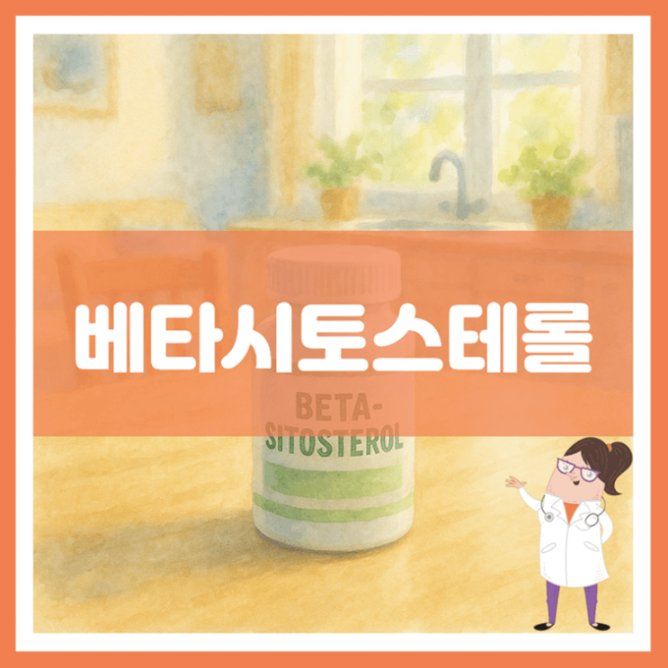  베타시토스테롤 3가지 효능 섭취방법 부작용
