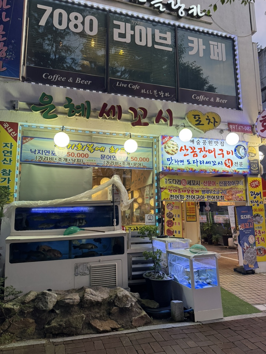 은혜세꼬시 사진 3