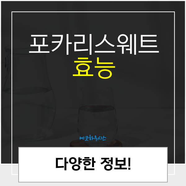 포카리스웨트 효능 장점 단점 부작용 분말 칼로리 당뇨에 좋은가? 알아볼까요