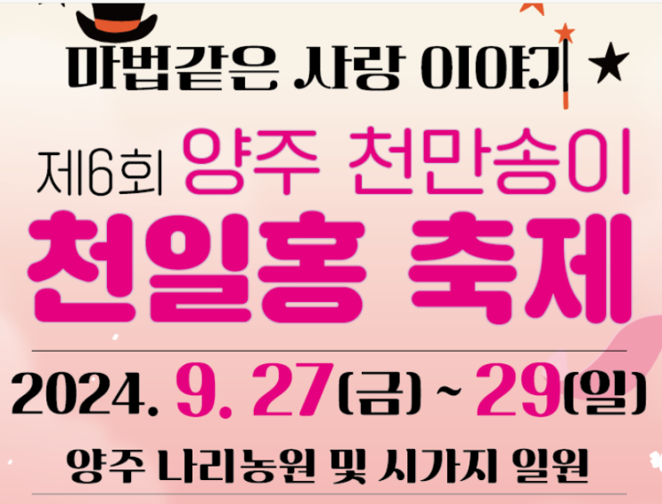  2025 양주 천일홍 축제, 딱 3일만 열리는 진짜 파티! (기간, 주차, 공연 정보)