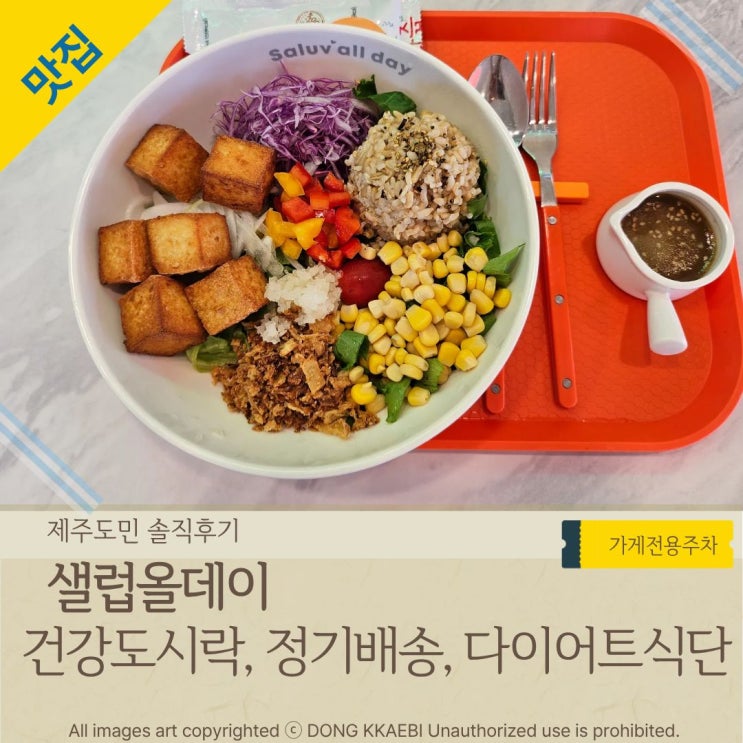  샐러드정기배송, 세미나간편도시락 '샐럽올데이'
