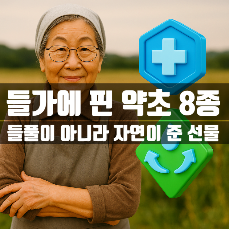  들풀인 줄 알았는데 약초? 알고 보니 건강 보물 8종