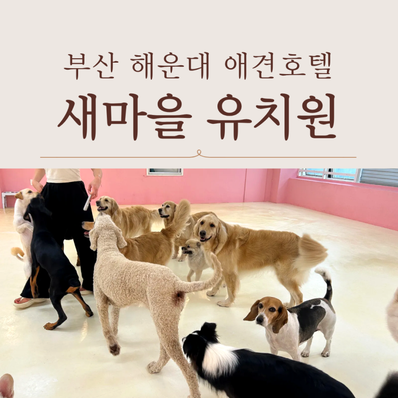 사진 3