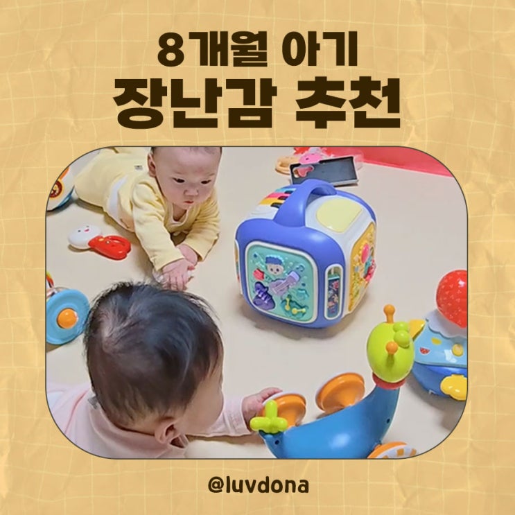  8개월 아기들이 좋아한 장난감 추천 (쌍둥이 실제 후기)