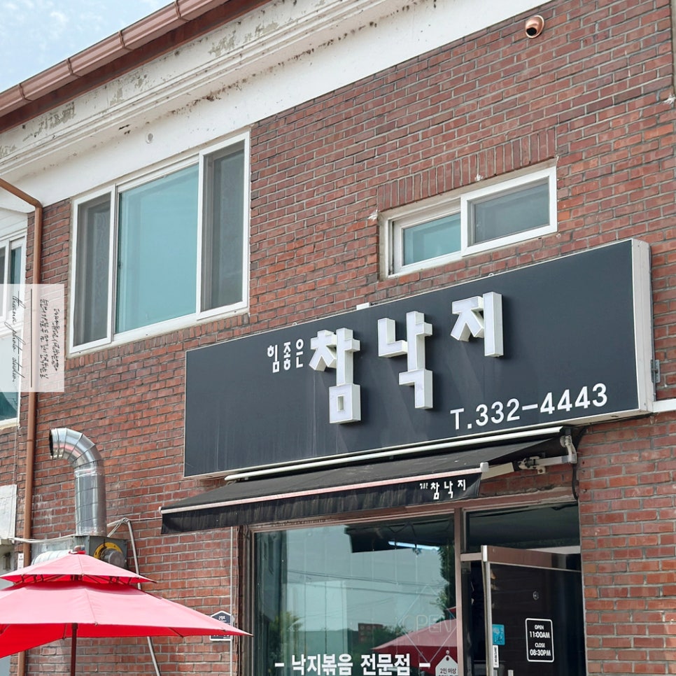 힘좋은참낙지 사진 2