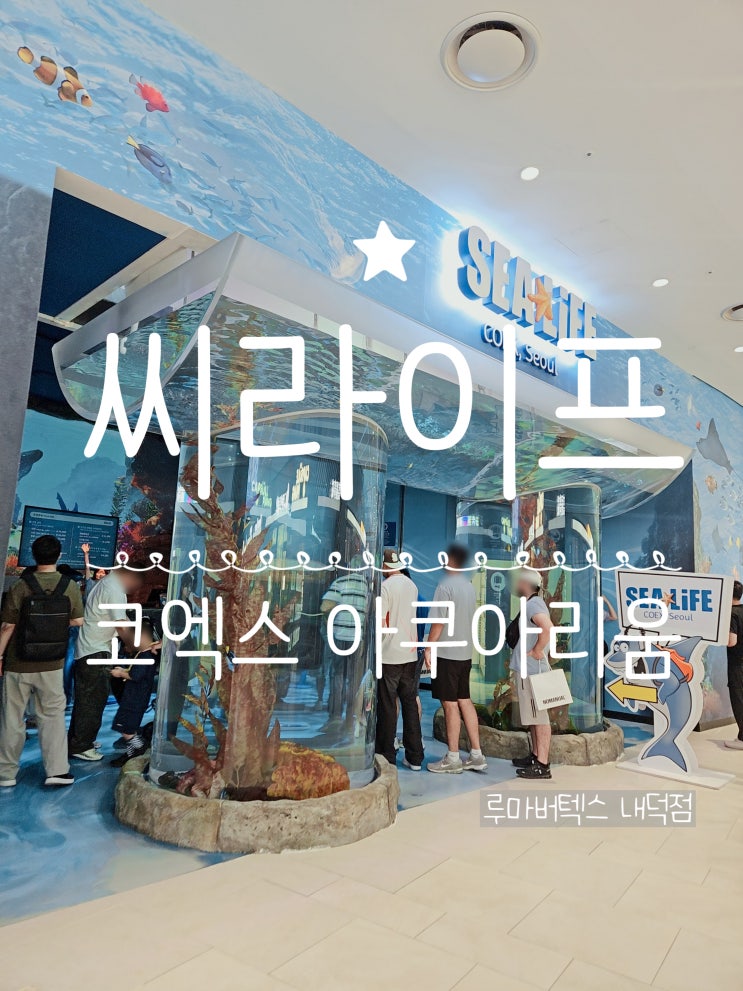  씨라이프코엑스아쿠아리움 인어공주 공연 아이와 함께 동반 체험 후기