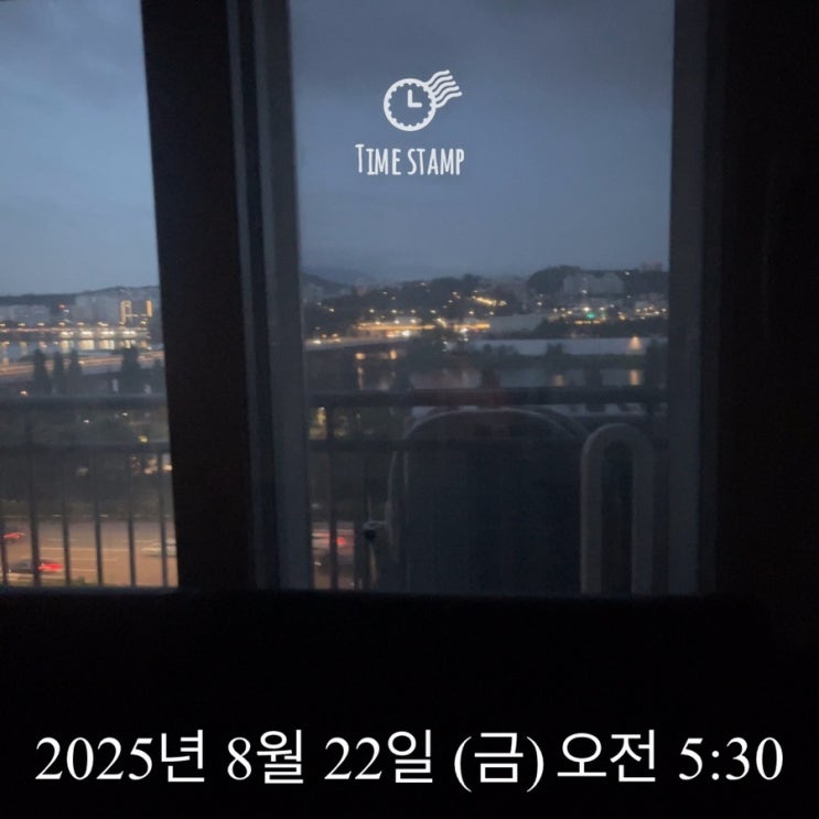 새벽단 /  한잔후 해장 런닝 or 회복런닝