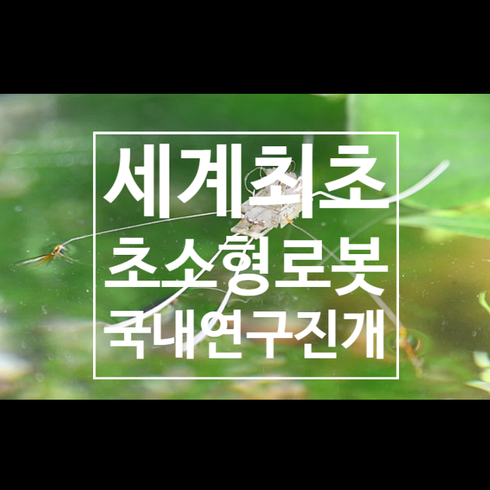  국내 연구진 초소형 로봇 개발, 물위 달리는 소금쟁이의 비밀