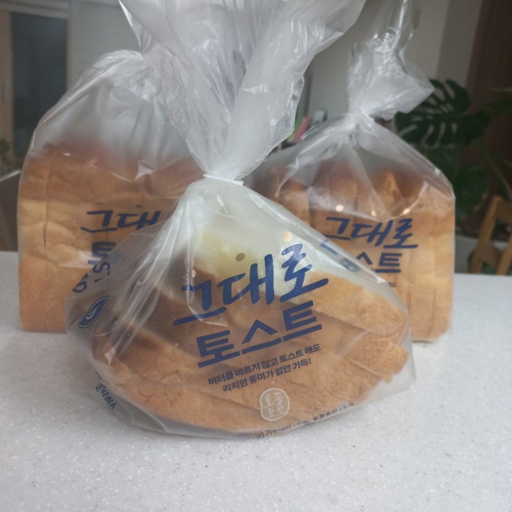  빵지순례 파리바게뜨 그대로 토스트 식빵!