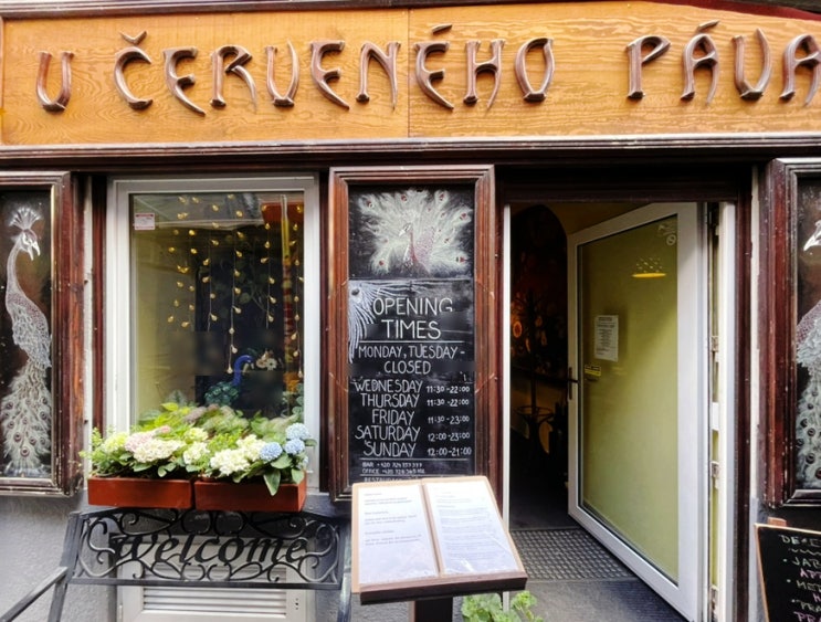   프라하 현지식 추천! 체코 맛집 ‘우 체르베네호 파바’ 후기 (u cerveneho pava)