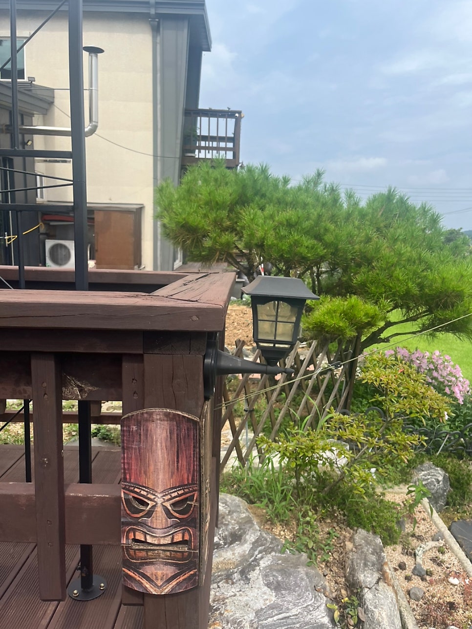 알로하 사진 2