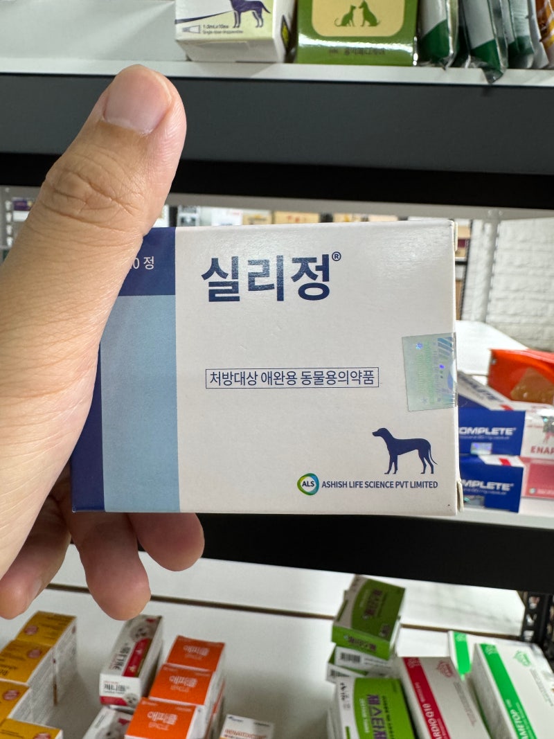 실리정(Sildenafil) - 강아지 심부전과 폐동맥 고혈압 치료제 / 작용기전부터 주의사항 및 금기....