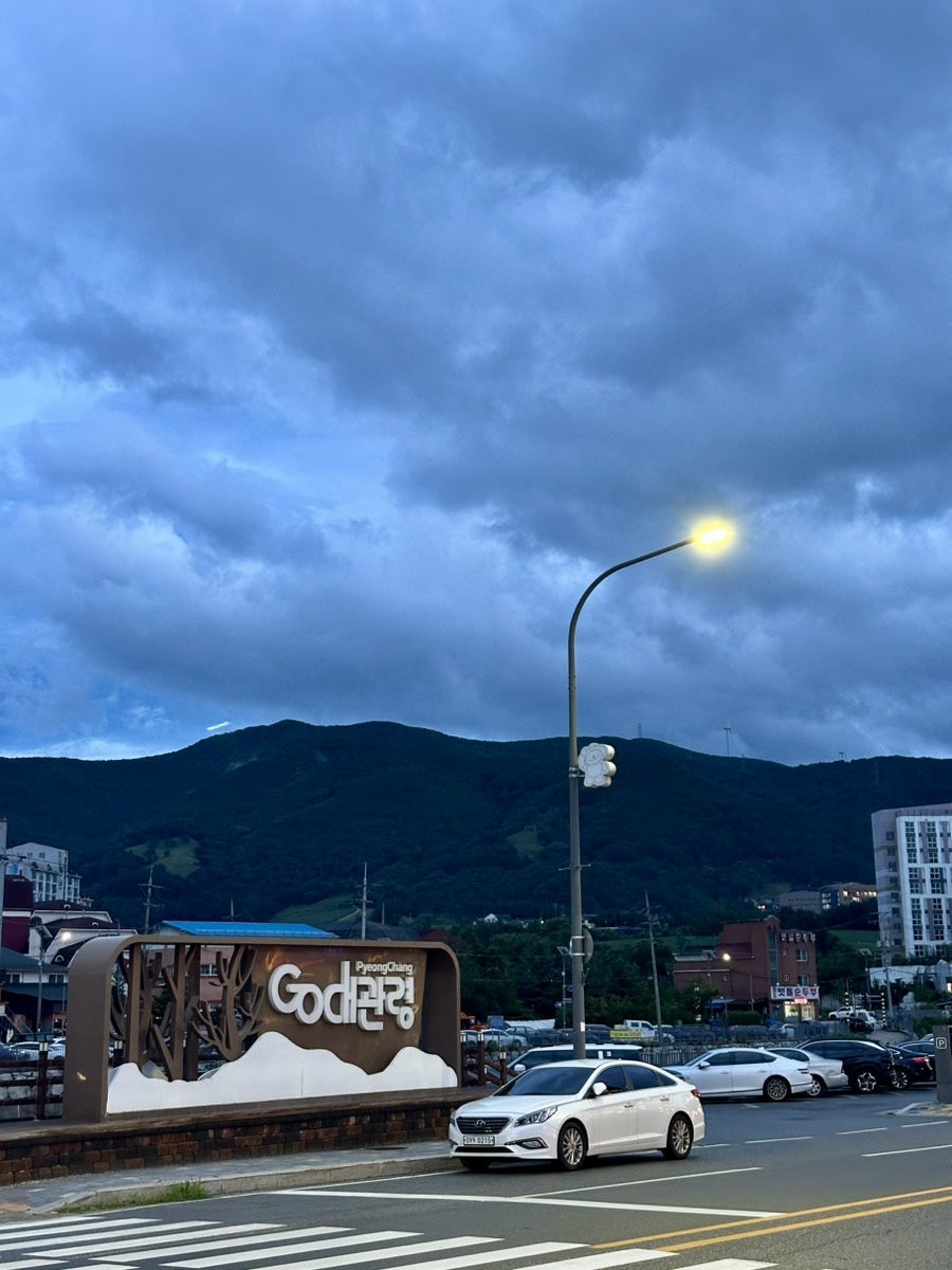 대관령바우골 사진 5