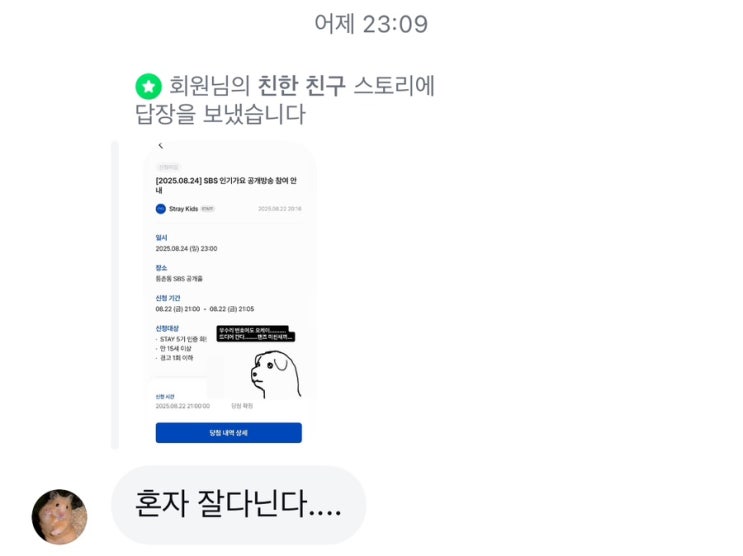 남자 나들이 다녀옴 (<b>스키즈</b> 카르마 <b>컴백</b> 1주차 라는 뜻)