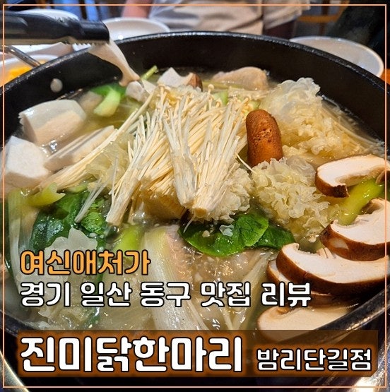  일산 밤리단길 진미 닭한마리 집, 몸보신 추천 보양식 [내돈내산]