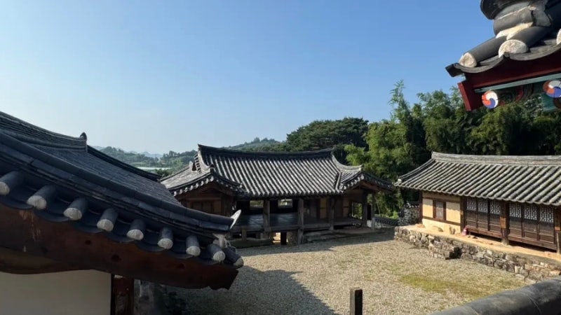 사진 3