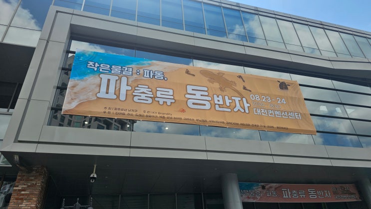  2025 파충류동반자 대전 파충류 박람회 후기 주차 꿀팁 도마뱀 분양 가격 대박