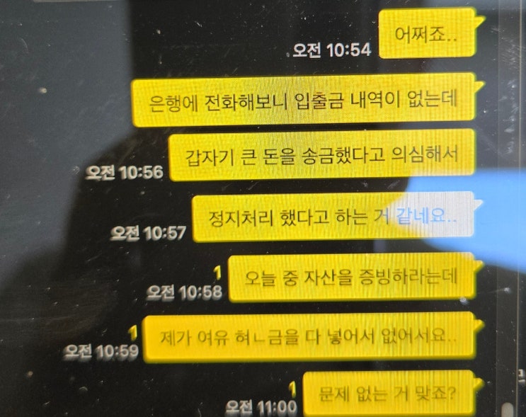  주식 리딩방 사기 신고 및 구제 후기 3편 (지급정지 / 피해구제 신청)