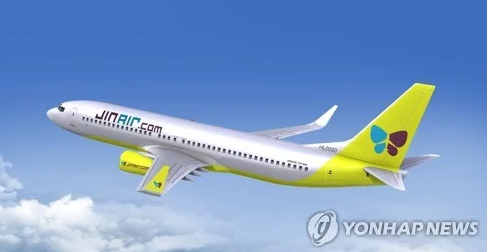   부산발 진에어 항공기 ‘버드 스트라이크’…결국 인천으로 회항