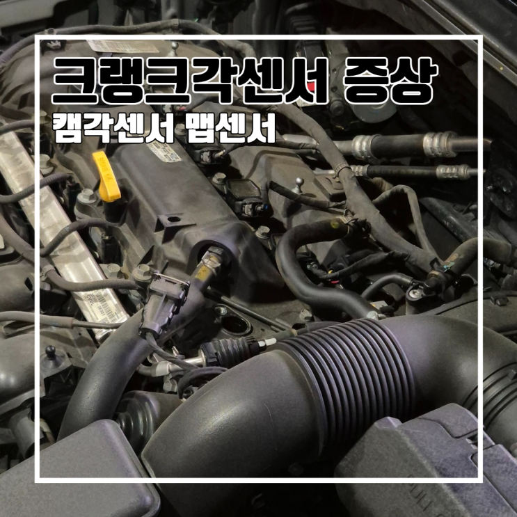  LF쏘나타 뉴라이즈 시동 지연으로 교체한 크랭크각센서 캠각센서 맵센서