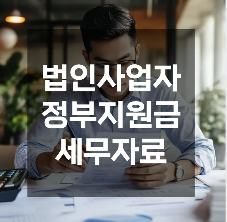  법인사업자 정부지원 세무자료와 신용지표 정리로 신뢰성 높이기