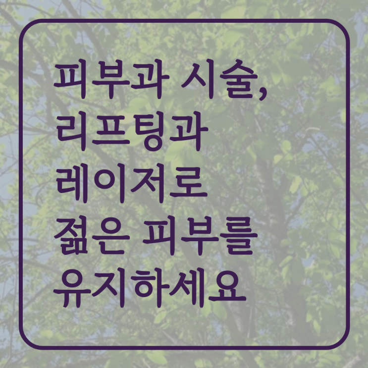  피부과 시술, 리프팅과 레이저로 젊은 피부를 유지하세요