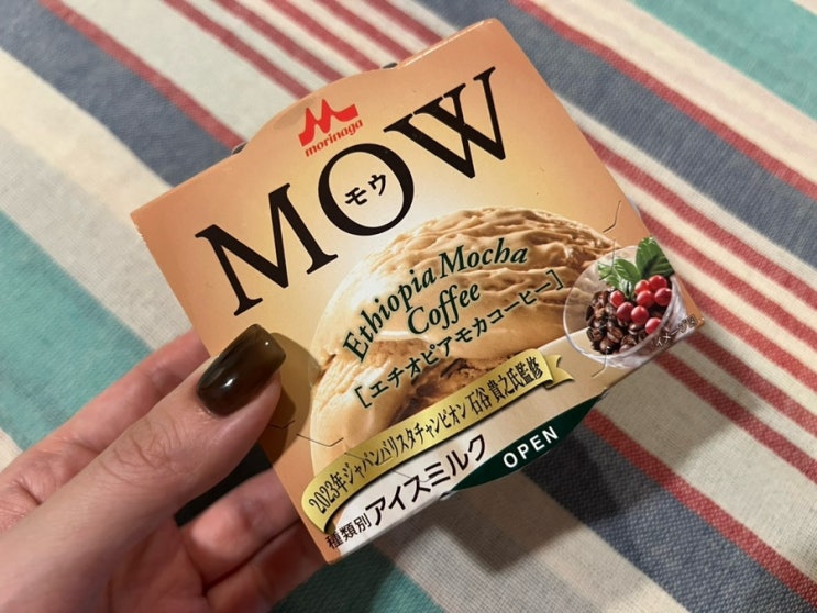  일본 커피맛 아이스크림 추천 모리나가 PARM 파르무 MOW 모우