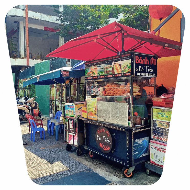  의과대학 입시 전략과 학습법 집중 탐구