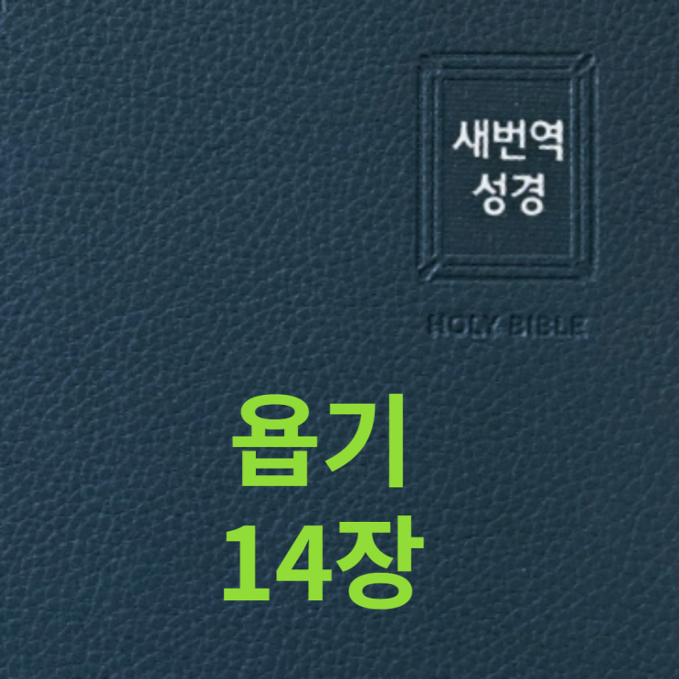  욥기 14장