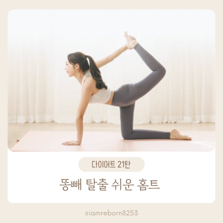  [다이어트 21탄] 똥배 빼는 홈트, 초보자도 쉽게 따라하는 루틴