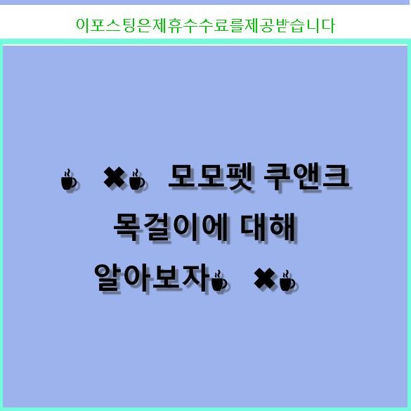 사진 4