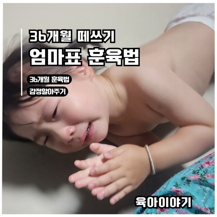  36개월 아이 떼쓰기 훈육법 | 엄마표 현실 대처 꿀팁