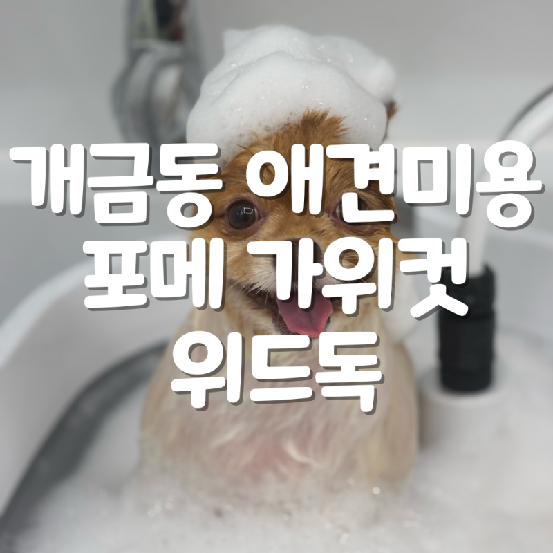 사진 6