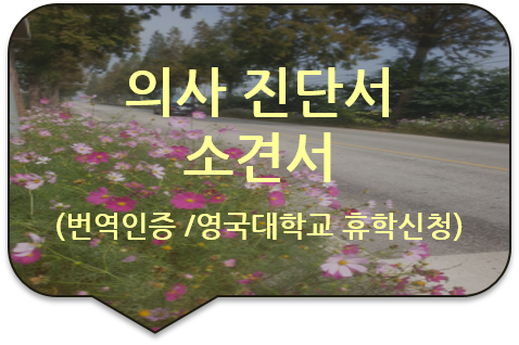  영국 브리스톨 대학교 휴학신청서류, '의사 진단서'/ '소견서' 번역인증[청량리/동대문/왕십리/답십리 번역]