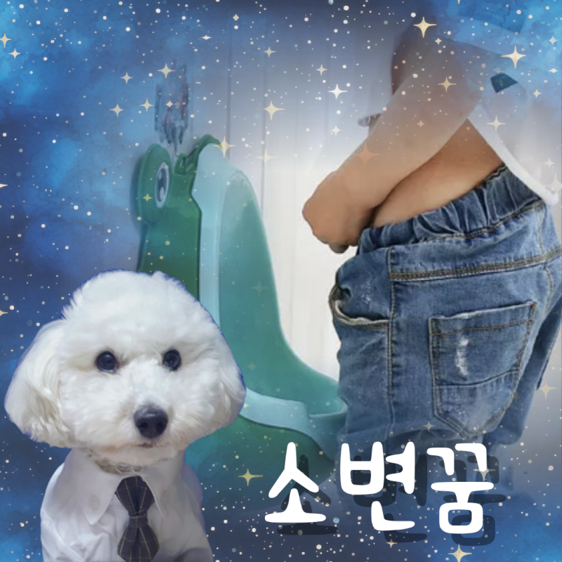 화장실소변꿈 해몽 다양하게 알아보기, 소변먹는꿈은?