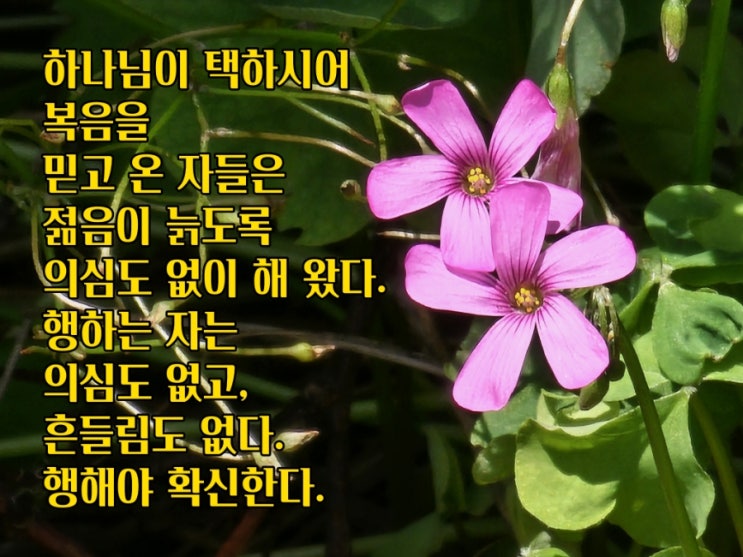  jms 정명석목사 잠언 ㅡ 행해야 확신한다
