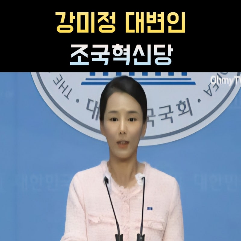 강미정 프로필, 나이 고향 학력 조국혁신당 대변인