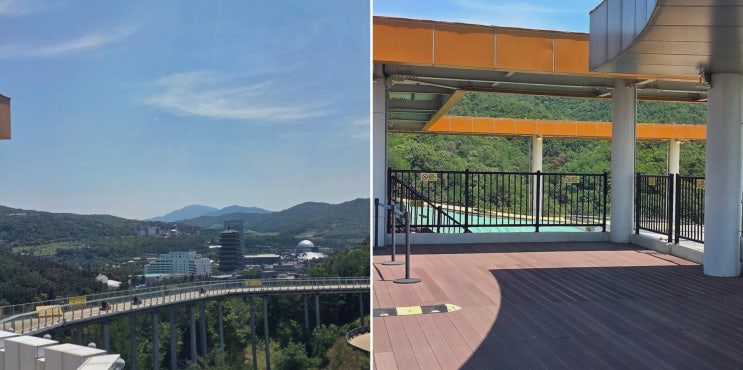  경주루지월드에서 즐기는 최고의 경주 놀거리 추천!