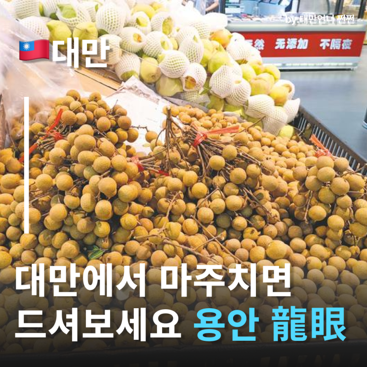 9월대만여행에서 꼭 먹어야 할 대만과일 용안(롱안,롱옌)
