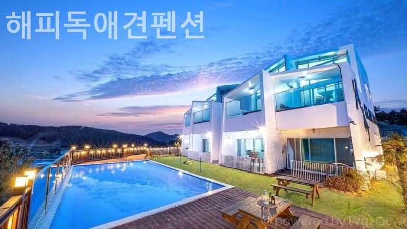 사진 5
