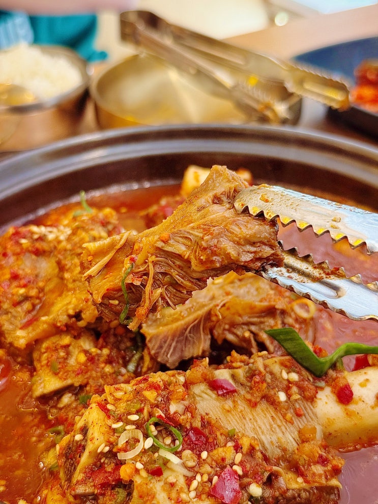  구미 점심 맛집 추천 가족외식 금오산갈비찜엔탕