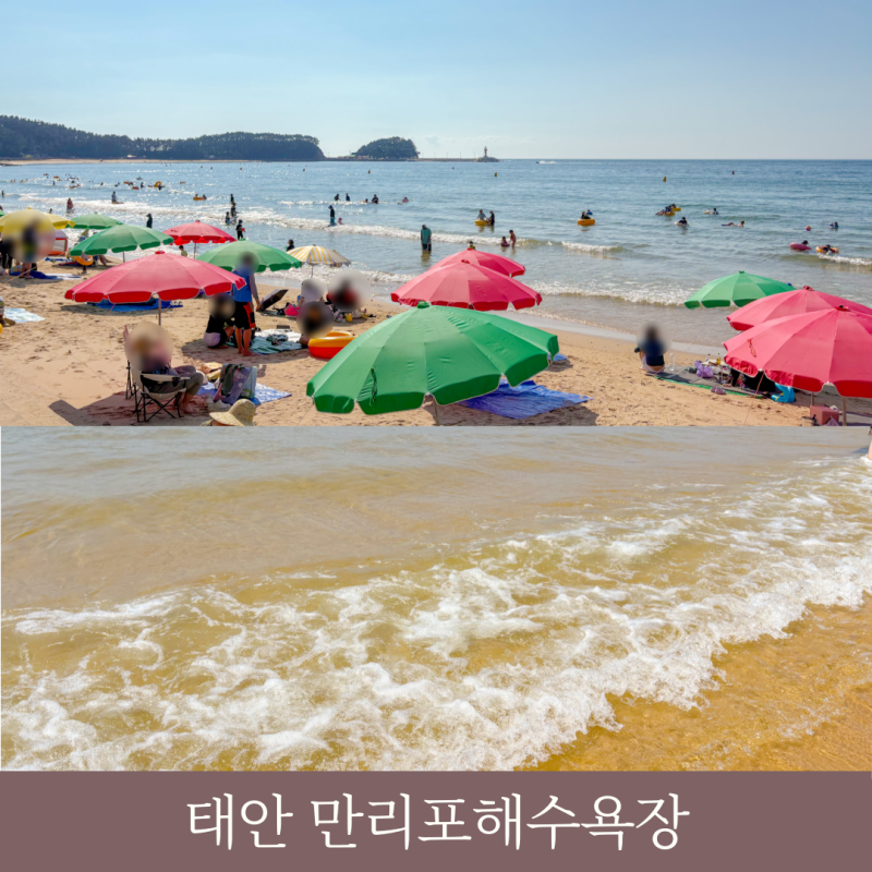 만리포해수욕장