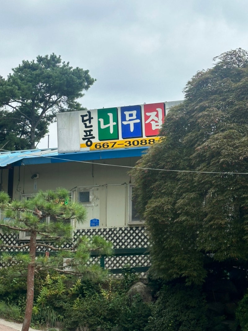 서산 | 온석동 보양식 백숙 삼계탕 맛집 단풍나무집