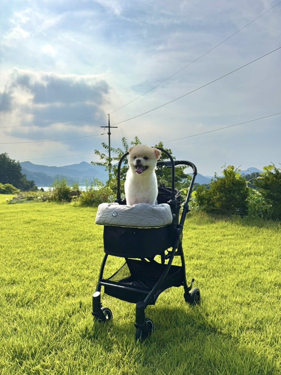 오캄1077 사진 5
