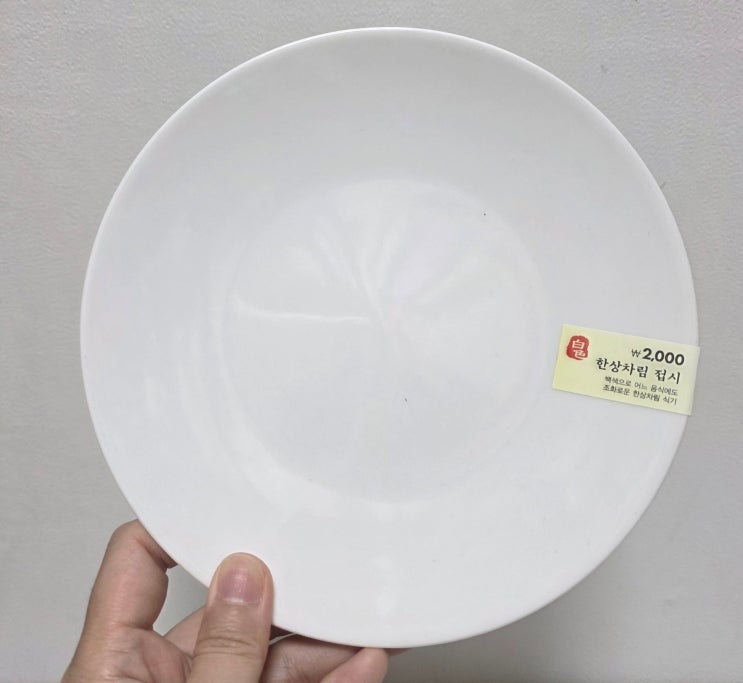  다이소 심플 화이트 접시 리뷰