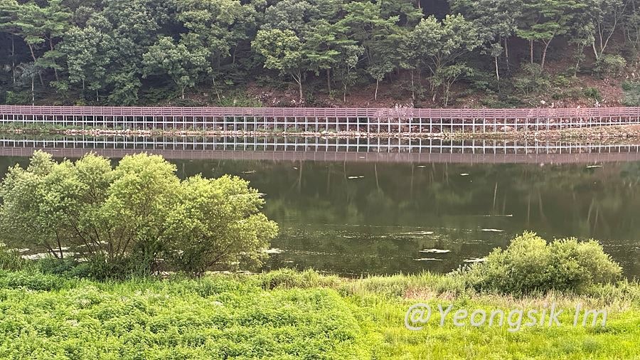 벽남제 사진 6
